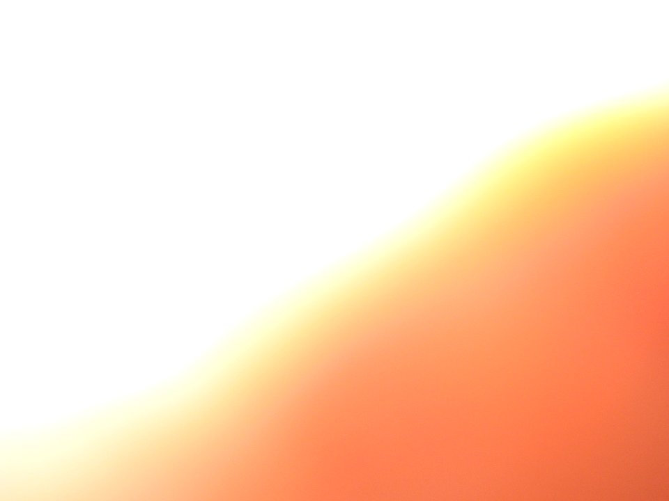 SUMMER (452)